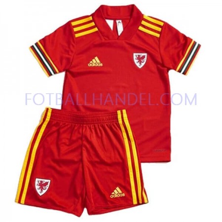 Barn Fotballdrakter Wales Hjemme Euro 2020 Kortermet